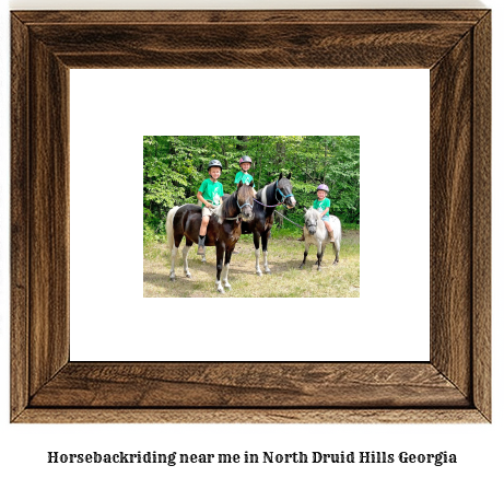 horseback riding near me in North Druid Hills, Georgia